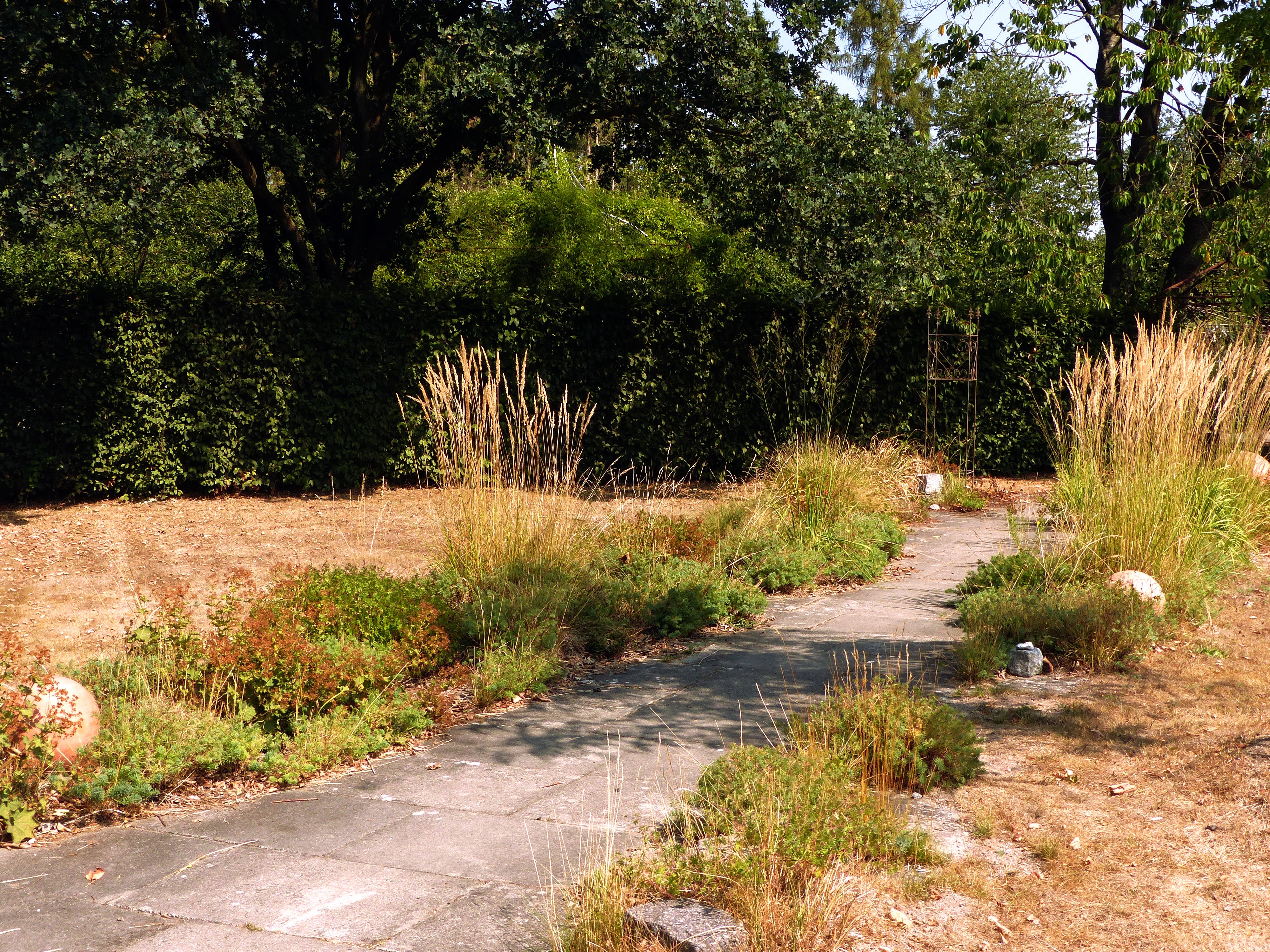 Hitze und Trockenheit – so bereiten Sie Ihren Garten auf den Sommer vor