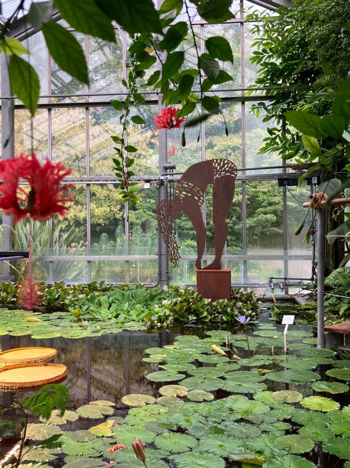 Tropenhaus mit Wasserlilien, einer Skulptur und üppiger grüner Vegetation.